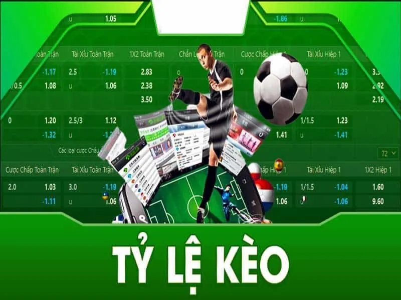 Cách Đọc Tỷ Lệ Kèo Dễ Hiểu Cho Người Mới Bắt Đầu